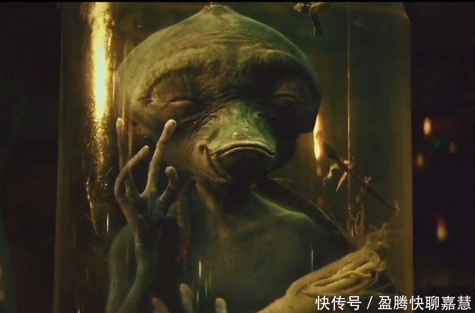 美媒：罗姆尼退出 大选将变布什克林顿家族缠斗